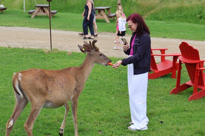 Montreal: Omega Park Canadian Wildlife Safari Adventure