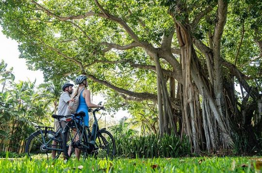 Self Guided E Bike Tour of Coral Gables with App