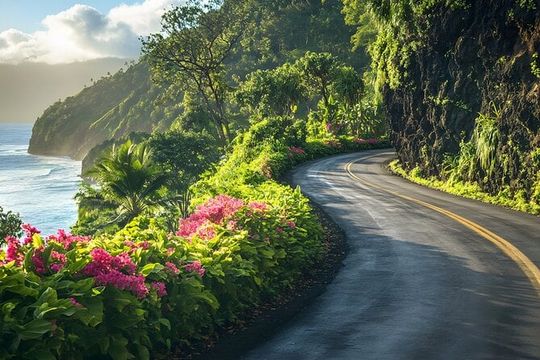 Private Open-Air Road to Hana Tour 5.5hr (max 14 guests)