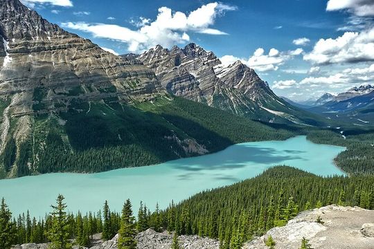 5 Lakes Tour Louise and Moraine Emerald Peyto Takakkaw Falls