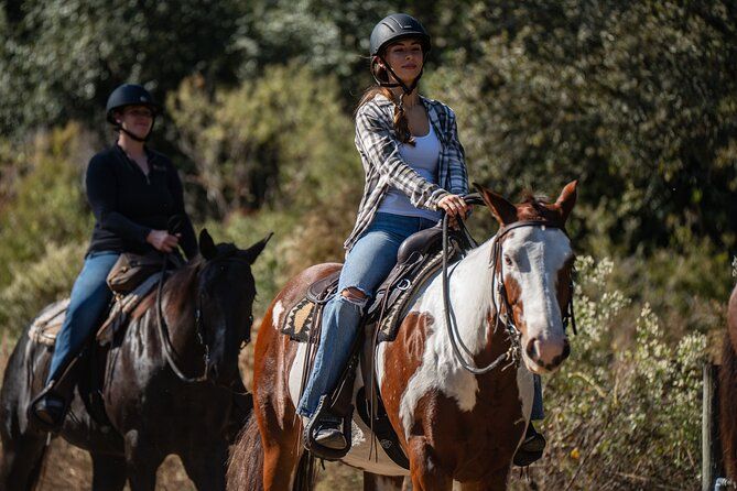 Black Prong Horseback Ride