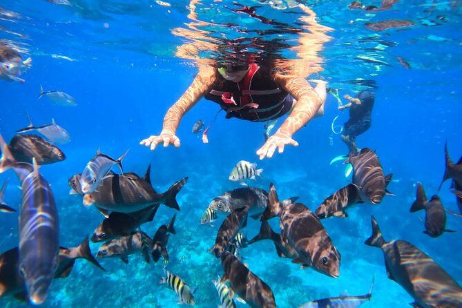 Clear Boat Ride at Cozumel! Round from Cancun & Playa Del Carmen
