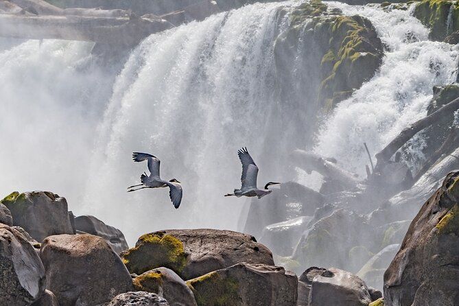 2-Hour Wildlife & Nature River Cruise on the Beautiful Willamette