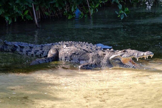 Sian Kaan Reserve Bike Tour & Fishing at Crocodile Bridge & Meal