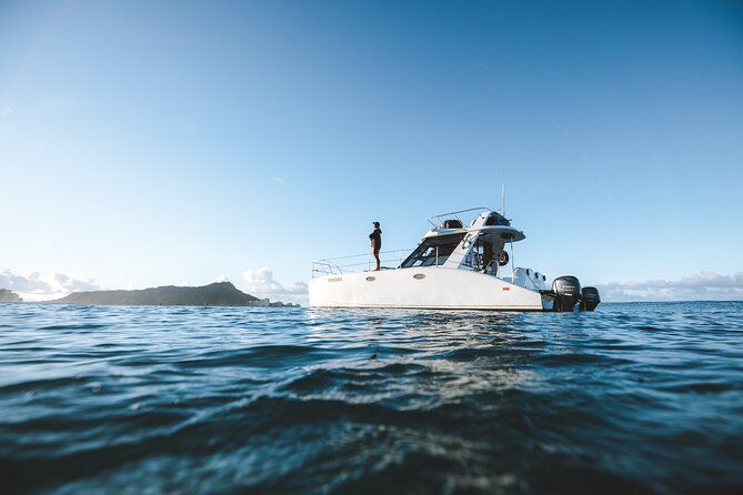 Private Whale Watching and Coastal Swimming Tour Honolulu