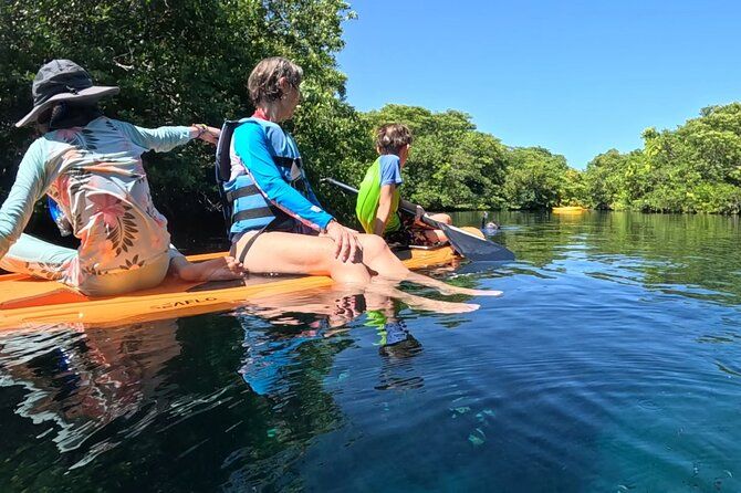 The sanctuary an adventure between mangroves