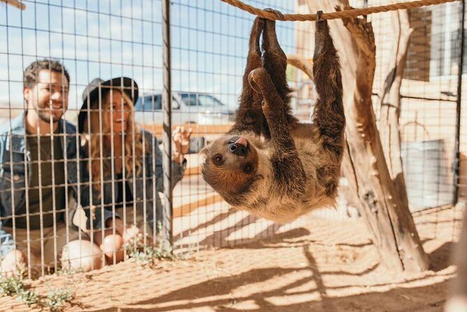 Las Vegas Safari Tram Ride and Zoo Tour at Camel Safari