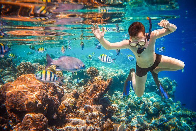 Cabo San Lucas Boat Tour and Snorkel at Pelican Rock