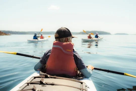 3 Hour Kayaking Tours from Friday Harbor