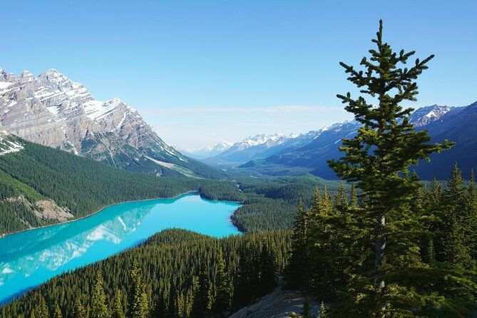 5 Lakes Louise, Moraine, Emerald, Peyto & Bow Lake Banff Jasper