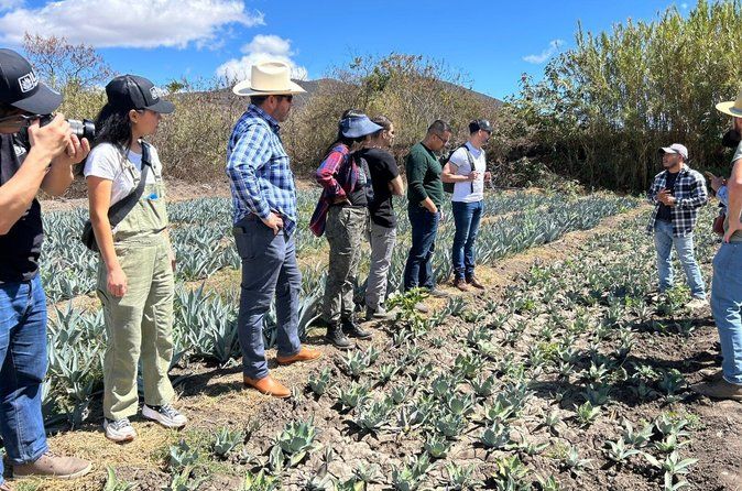 Artisanal Mezcal Experience with Guided Tasting