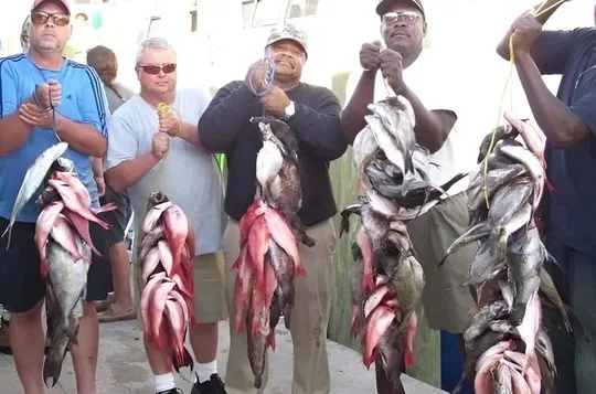 Mid-Day Deep Sea Fishing in Myrtle Beach