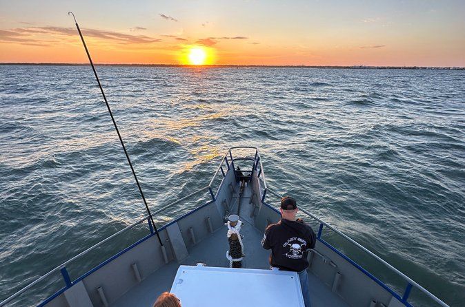 Ocean Sunset Dolphin & Sealife Cruise in Murrells Inlet