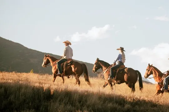 Guided Horseback Riding Adventure