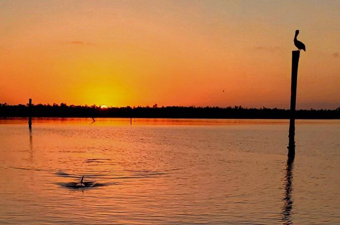 Private Luxury Sunset Cruise in Naples Bay and Keewaydin