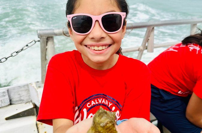 Eco Tour and Dolphin Watch