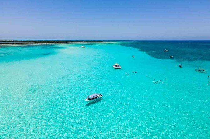 Top Cozumel Snorkel Experience: 4 Hours of Reefs & Island Dining
