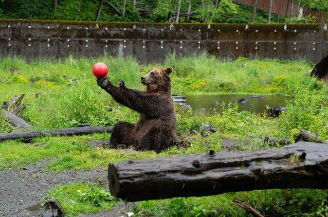 Sitka Historical Highlight Tour