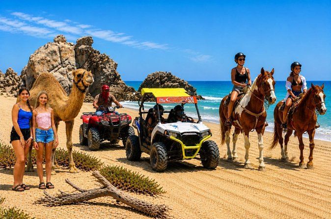 Los Cabos Adventure Combo: Choose 3 Activities