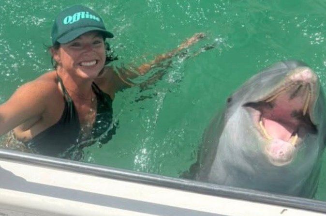 3 Hour Private Shell Island Dolphin and Snorkeling Tour