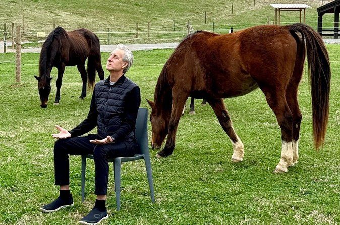 Meditation with Horses in Asheville
