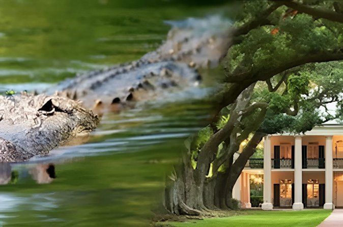 Oak Alley Or St. Joseph Plantation Plus Swamp Tour Combination