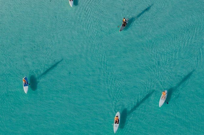 Stand Up Paddleboard Rental in Bacalar Lagoon