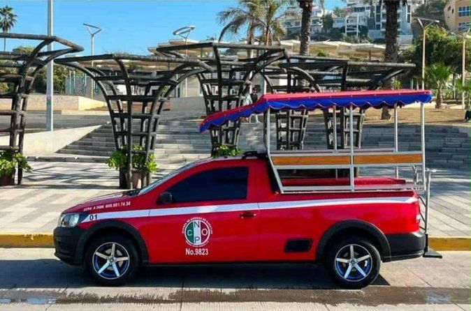 Discover marzipan by panoramic van up to 6 people