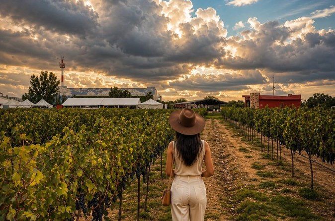 Full Day Harvest Season Wine Tour & Grape Stomping Tequisquiapan
