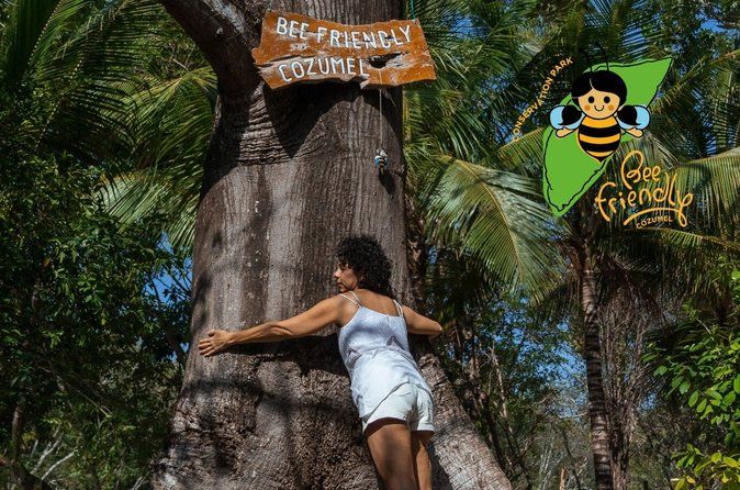 Ambachtelijke geheimen van Cozumel: cacao, honing en kruiden