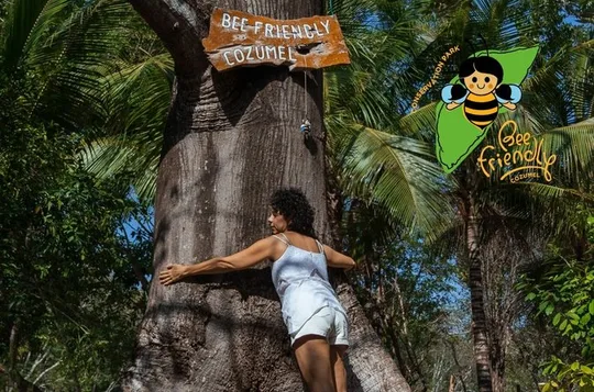 Ambachtelijke geheimen van Cozumel: cacao, honing en kruiden