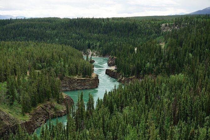 Yukon River Boat Tour Through Miles Canyon