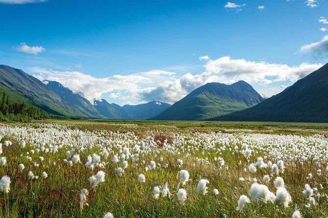 Wild Alaska Tour: Full-Day Scenic Journey from Fairbanks