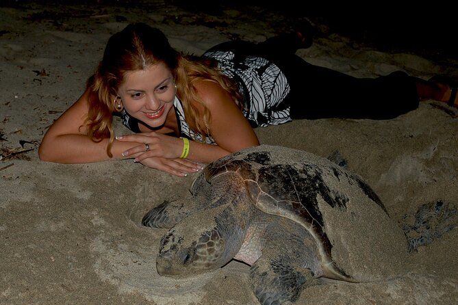 Turtle Camp Puerto Vallarta baby releasing and females laying egg