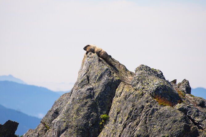 North Cascades Full Day Private Tour & Hike