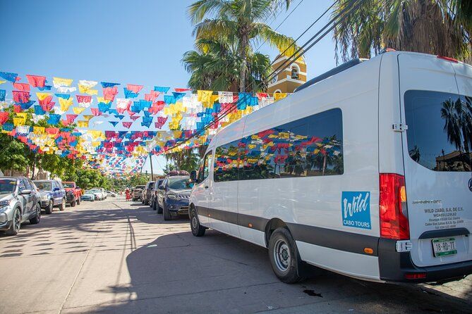 Private Todos Santos Magical Town Tour with Baja Culture and Art