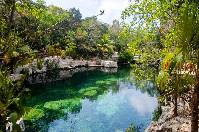 Casa Tortuga Natural Park, Explore 5 Cenotes with Lunch buffet