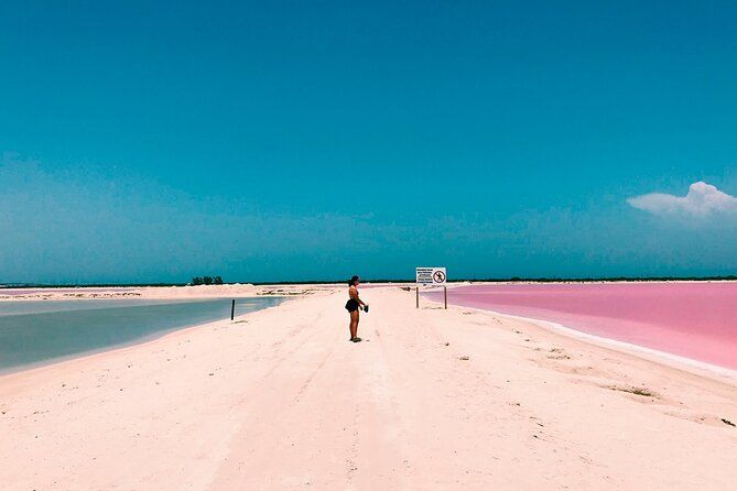 Pink Lake Las Coloradas + Rio Lagartos Reserve! From Cancun