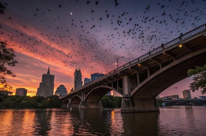 Austin's Best Bars and Bats 3-Hour Guided Tour