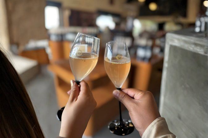 Queretaro Wine and Cheese Tour with Vineyard Tastings in English
