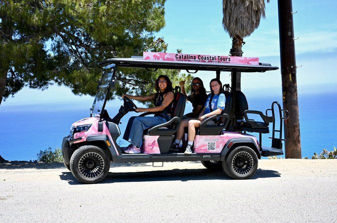 Scenic Golf Cart Tour Offered By Local Guides