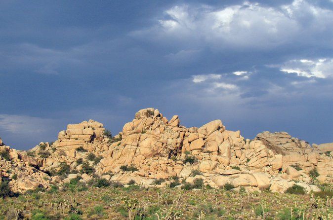 Guided Tour of Joshua Tree National Park with Local Expert