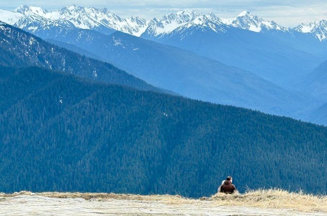 Touring Olympic National Park, Mountains, Lake, and Rainforest
