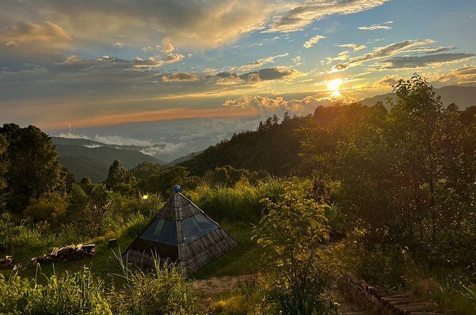 Healing & Wellness at the Mushroom Forest 3 Days-2 Nights
