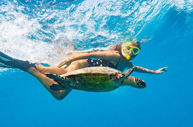 Oahu: Full-Day Circle Island Tour with Beach Stop & Free Wi-Fi