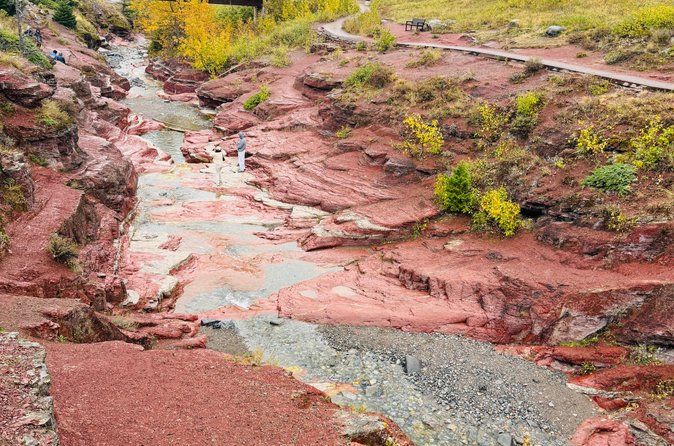Waterton National Park Scenic Day Tour from Calgary