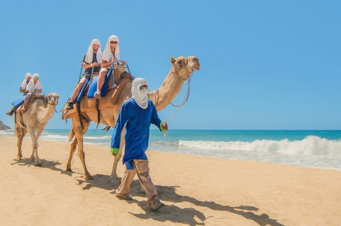 Camel Ride in Cabo San Lucas with Pick up and All Inclusive