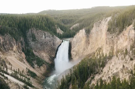Private Yellowstone Wildlife and Geology Tour from Jackson Hole
