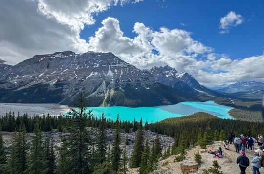 Banff/Jasper Parks, Icefields, Bow, Peyto lakes, small groups!