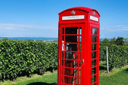 Annapolis Valley Experience Small Group Full Day Tour
